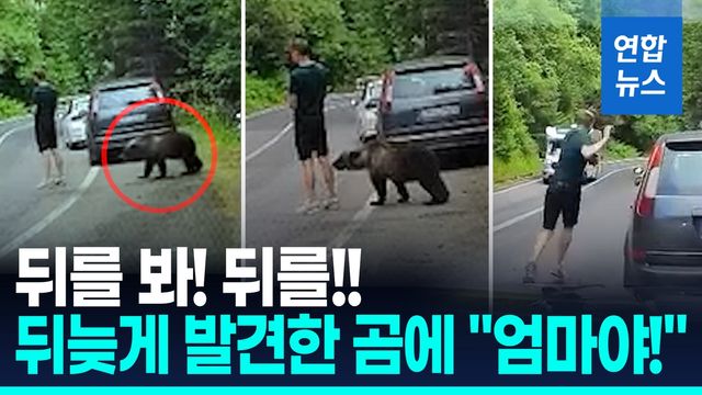 [영상] 곰이 '툭툭' 치는데도…눈앞에 나타나자 '혼비백산' - 2