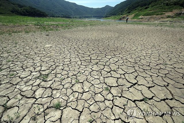 바닥 드러낸 보현산댐 상류