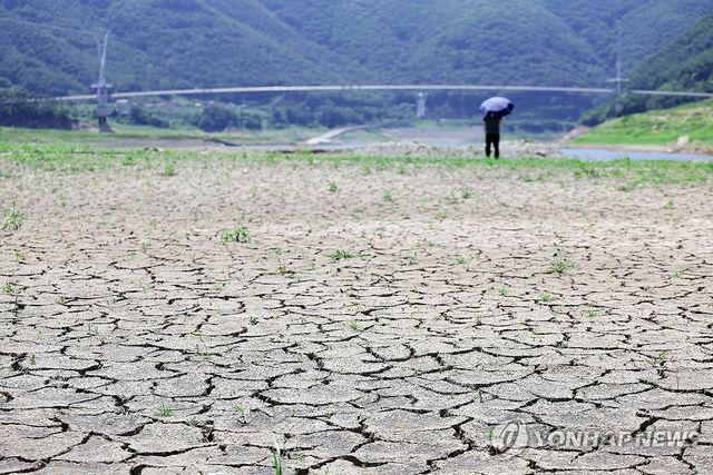 바닥 드러낸 보현산댐 상류