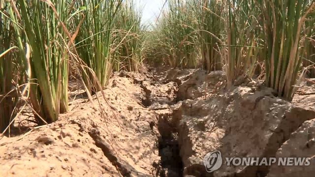폭염·가뭄