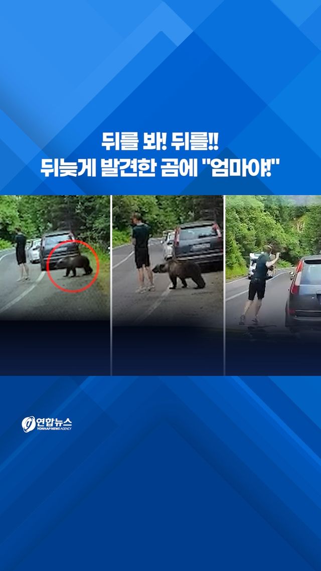 [쇼츠] 뒤를 봐! 뒤를!!…뒤늦게 발견한 곰에 "엄마야!" - 2