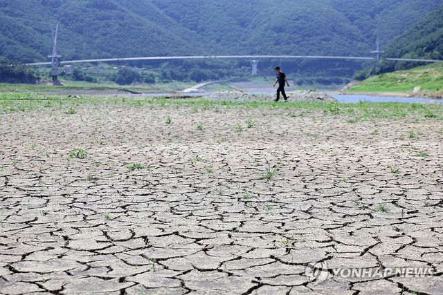 바닥 드러낸 보현산댐 상류
