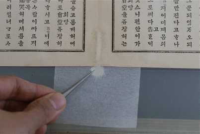 보존 처리 작업 모습 