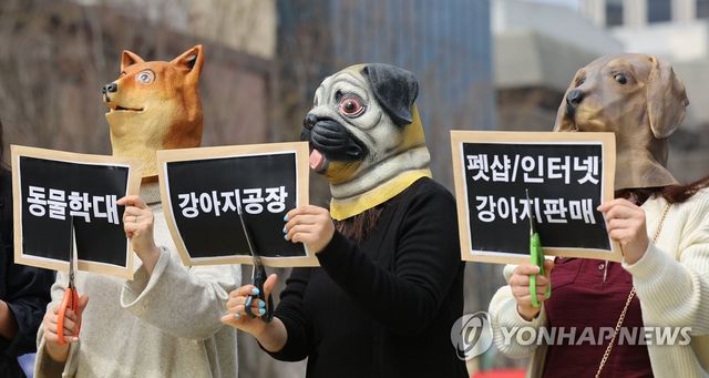 2023년 3월23일 국제 강아지의 날을 맞아 서울 광화문광장에서 한국동물보호연합 관계자 등이 양평 개 1천여마리 아사 사건의 책임자를 규탄하며 강아지 공장 폐쇄 촉구 기자회견을 하고 있다. [연합뉴스 자료사진]
