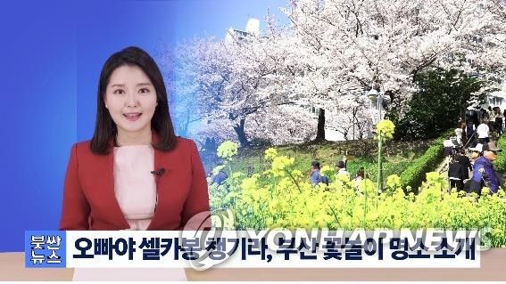 '붓싼뉴스' 화면