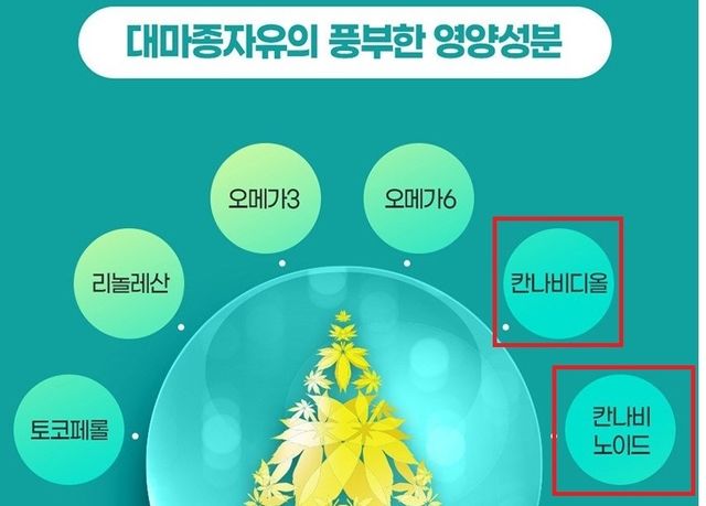 마약류 성분 온라인 광고