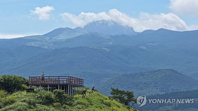노꼬메오름의 여름