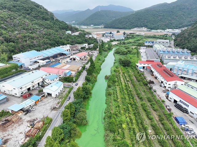 낙동강 지류 '녹조' 비상