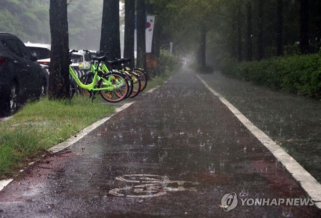 장대비 퍼붓는 대전