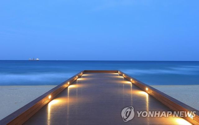 동해 한섬해변 야경