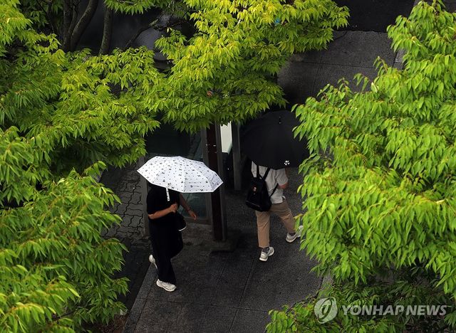 비 내리는 전주