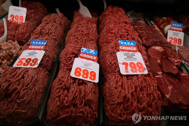 미국 마트서 판매중인 소고기 다짐육들