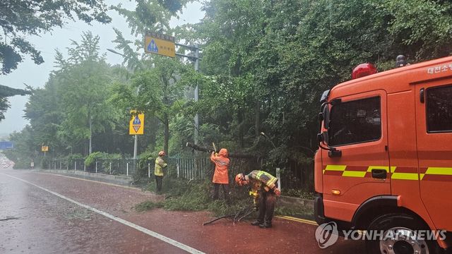 호우경보 내려진 대전