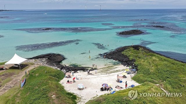 폭염특보 내려진 제주