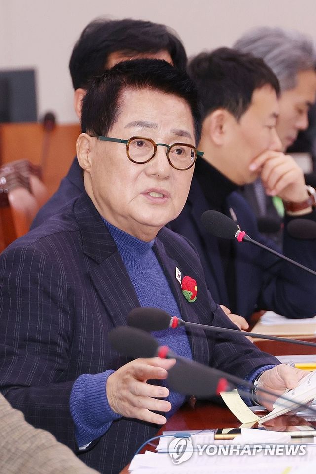 질의하는 박지원 의원