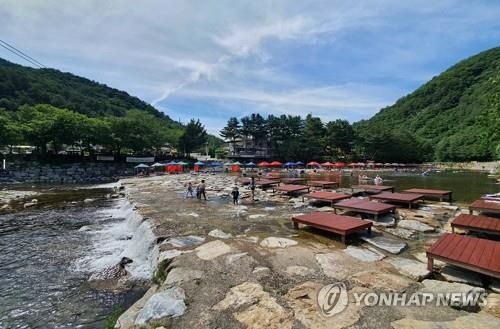 흥정계곡 불법 행위 단속