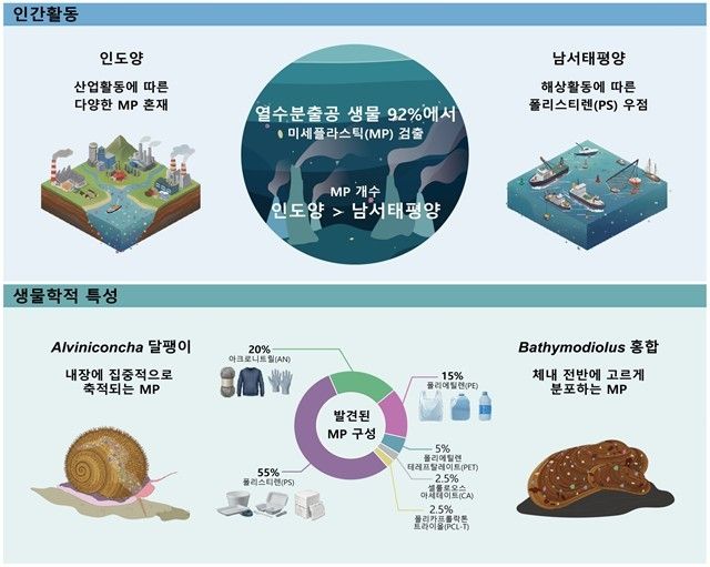 연구 결과 이미지
