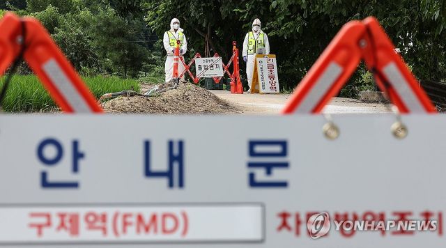 경북 예천서 구제역 발생