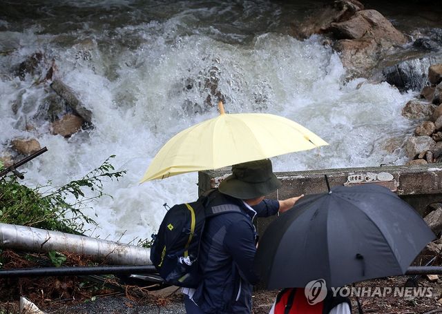 무섭게 불어난 계룡산 계곡물