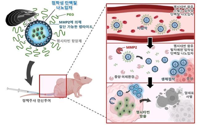 연구 이미지