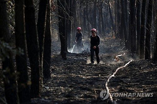 지난달 31일 지롱드 산불 진화하는 소방관들