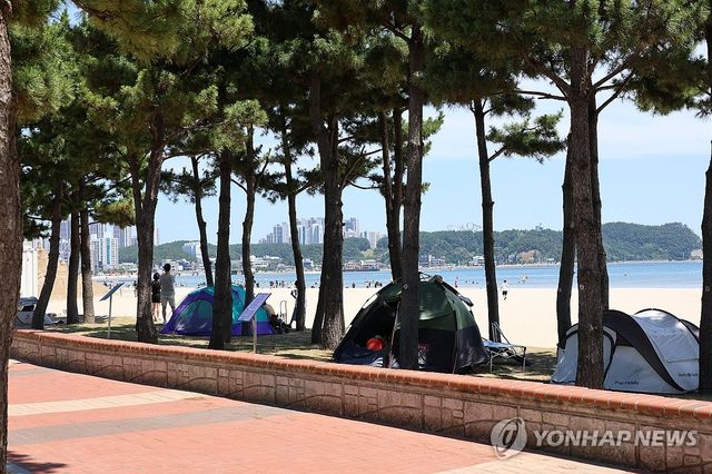 그늘이 최고