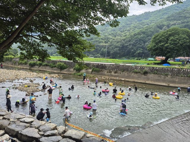 지난해 휴가철에 거락계곡에서 물놀이하는 피서객들