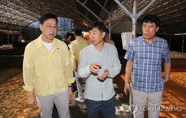 위성곤 제주지사, 고수온 피해 양식장 방문
