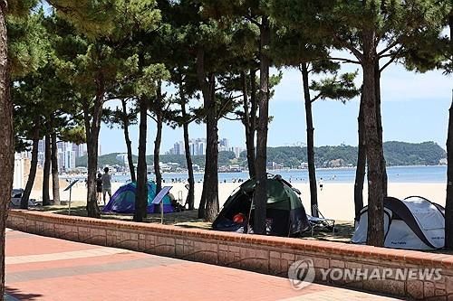 그늘이 최고