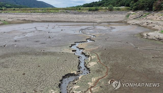 창녕군 옥천저수지…쩍 갈라져