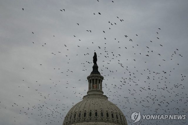 미국 워싱턴DC 연방의회