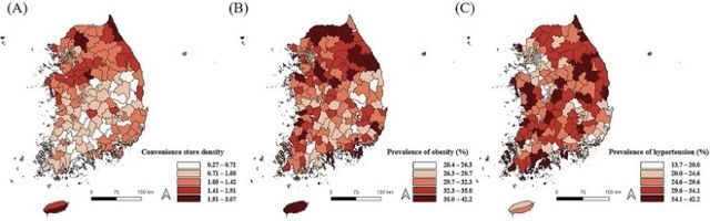 지역별 편의점 밀도 및 만성질환 유병률 분포. (A) 편의점 밀도, (B) 비만 유병률, (C) 고혈압 유병률 [논문 발췌]