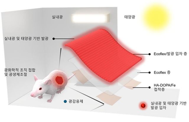 연구 이미지