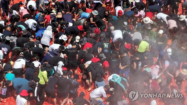 폭염 잊은 화천토마토축제 성료