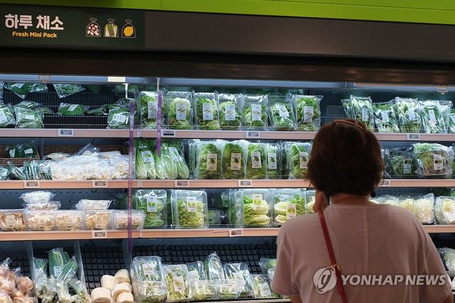 (서울=연합뉴스) 류효림 기자 = 5일 서울 시내 대형마트에서 시민들이 채소를 살펴보고 있다. 2026.8.5 ryousanta@yna.co.kr