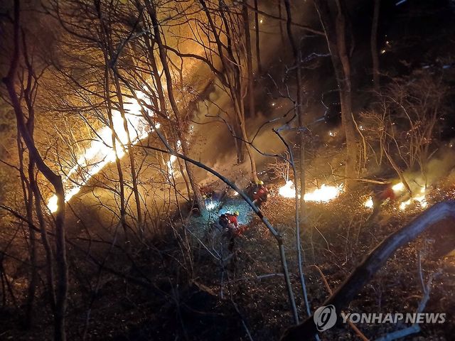 산림당국, 함양 산불 야간 진화 작업