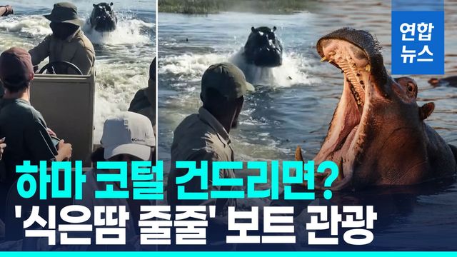 [영상] "우릴 쫓아와요"…공포의 '하마 크루즈' - 2