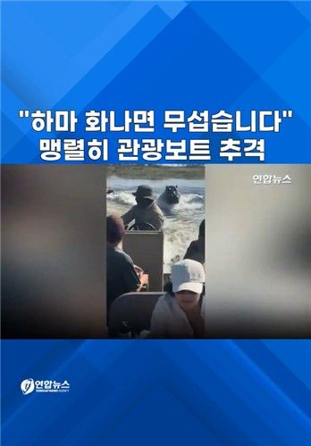 [쇼츠] "하마 화나면 무섭습니다"…맹렬히 관광보트 추격 - 2