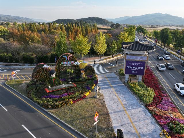 APEC 가로 경관