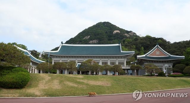 청와대