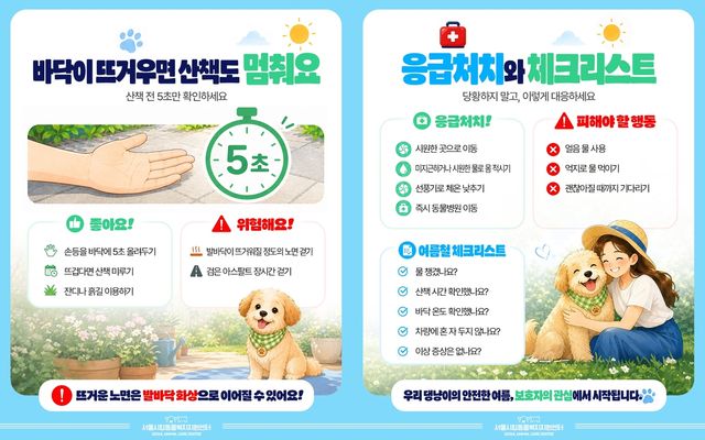 폭염 시기 반려동물 안전 수칙