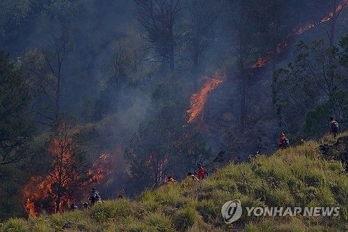 인도네시아 동자바주 국립공원 산불