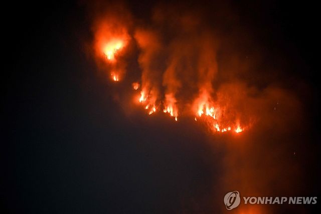 인도네시아 동자바주 국립공원 산불