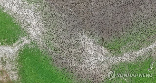 가뭄에 갈라진 밀양 웅동저수지