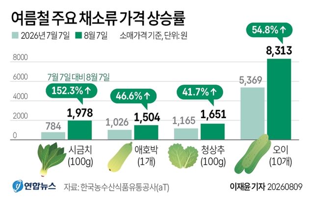[그래픽] 여름철 주요 채소류 가격 상승률
