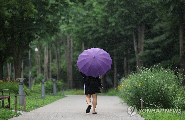 보랏빛 우산