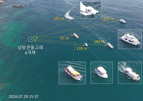 제주 남방큰돌고래 관광선박 연구 드론 영상 화면