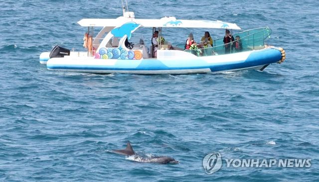 남방큰돌고래 관광