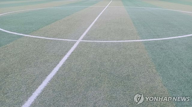 축구장 하프라인