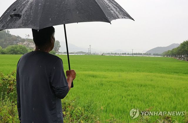 모처럼 단비가 반가운 농민
